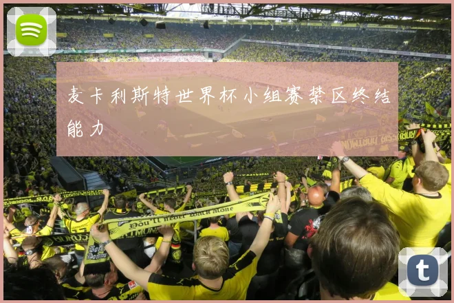 麦卡利斯特世界杯小组赛禁区终结能力