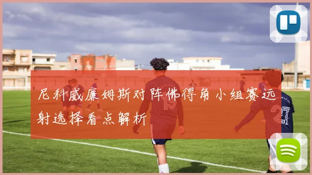 尼科威廉姆斯对阵佛得角小组赛远射选择看点解析