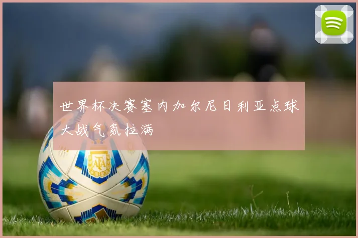世界杯决赛塞内加尔尼日利亚点球大战气氛拉满