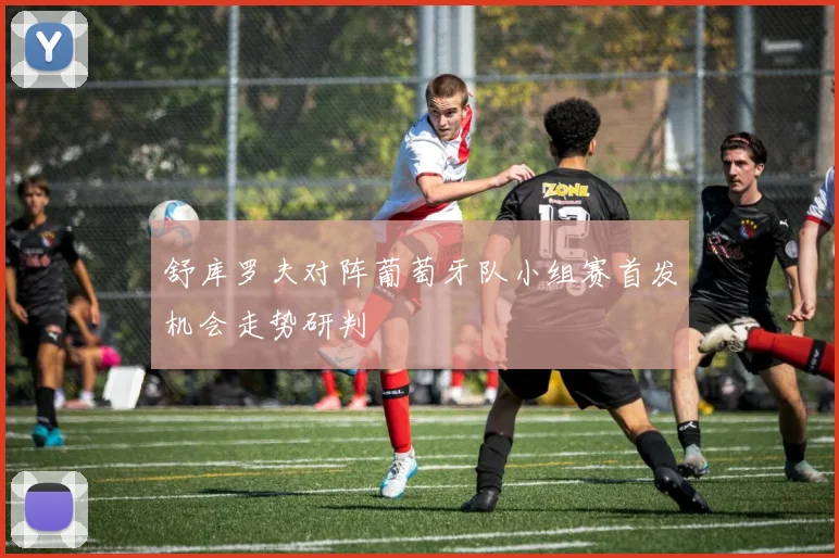 舒库罗夫对阵葡萄牙队小组赛首发机会走势研判