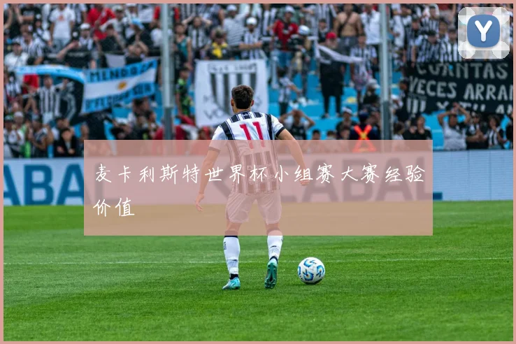 麦卡利斯特世界杯小组赛大赛经验价值