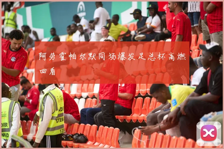 阿劳霍帕尔默同场爆发足总杯高燃回看