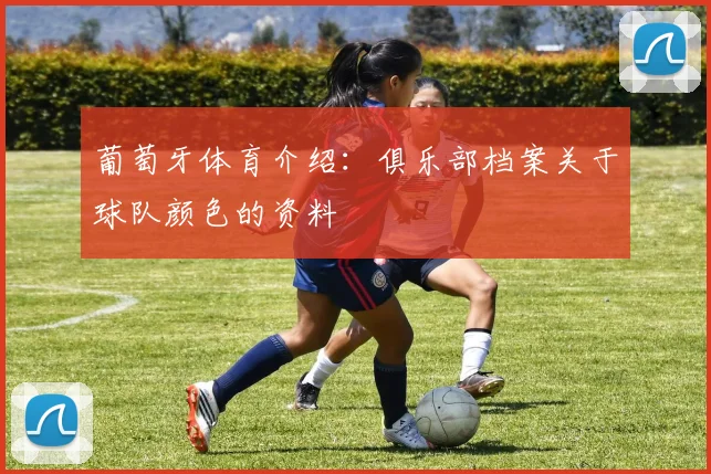 葡萄牙体育介绍:俱乐部档案关于球队颜色的资料