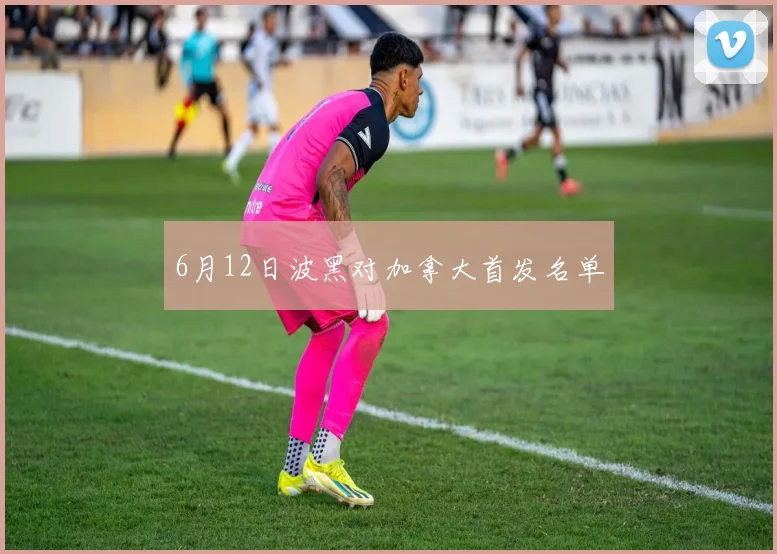 6月12日波黑对加拿大首发名单