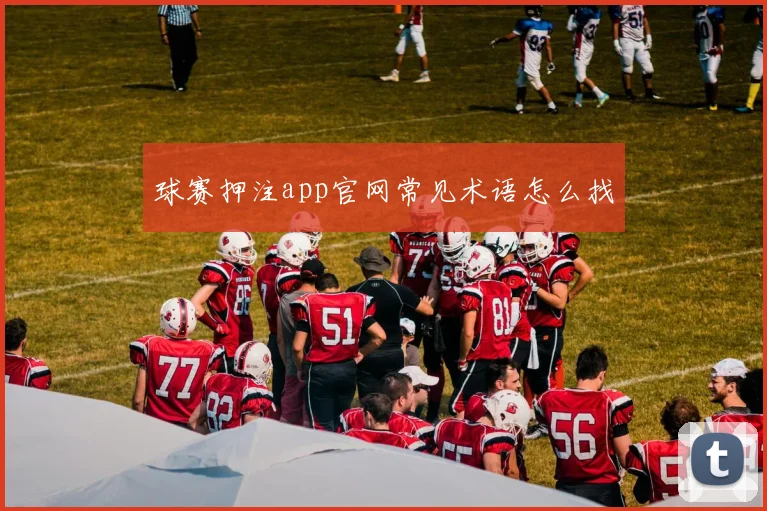 球赛押注app官网常见术语怎么找