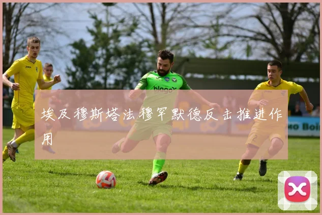 埃及穆斯塔法穆罕默德反击推进作用