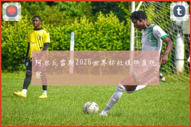 阿尔瓦雷斯2026世界杯社媒热度观察
