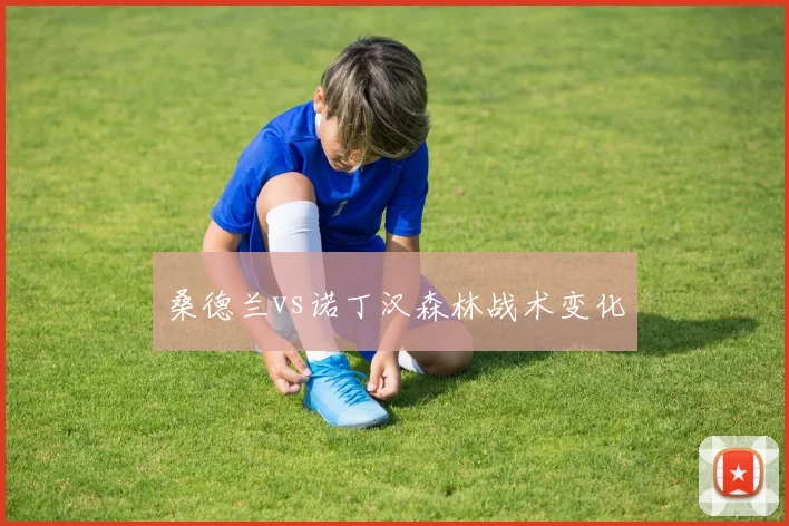 桑德兰vs诺丁汉森林战术变化